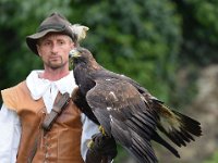 Steinadler 088